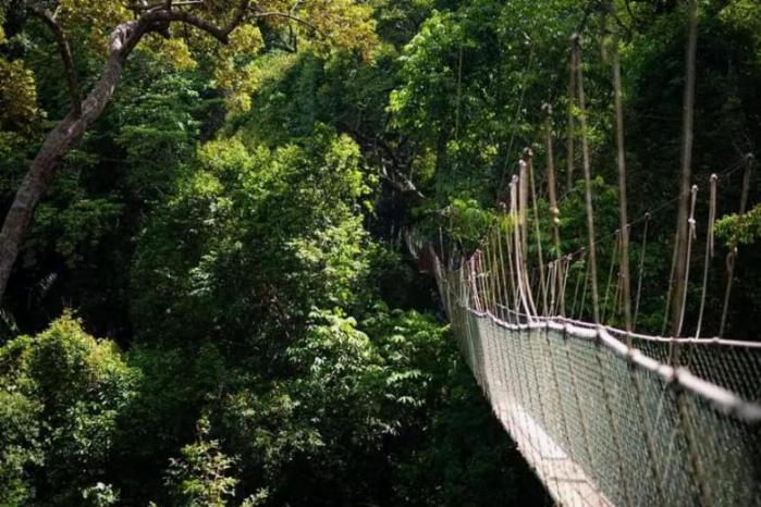 Hidden gems in KL (2)